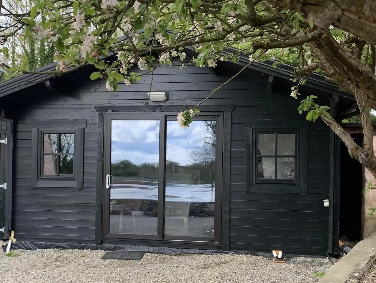 The Cosy Cabin By The Shore Galway